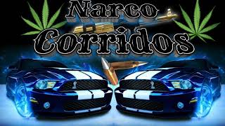 ✴️Narco Corridos ✴️Los Mejores Corridos ✴️ [upl. by Einaled]