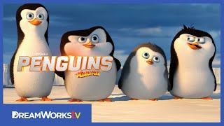 Official First Four and a Half Minutes  PENGUINS OF MADAGASCAR [upl. by Saidel]