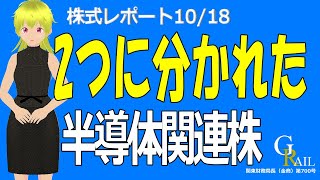 【日本株】明暗分かれる2種類の半導体関連株のお話です。＜株式レポ1018＞ [upl. by Katina]