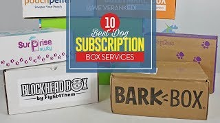 Top 10 Best Dog Subscription Boxes [upl. by Drucill]