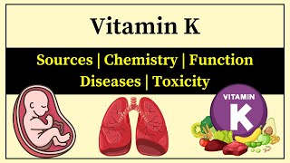 Vitamin K Biochemistry  Vitamin K Foods  Role Of Vitamin K In Blood Clotting  Deficiency Toxicity [upl. by Atinrahc382]