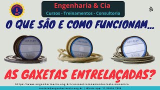 VEDAÇÃO Gaxeta  O que é e Como Funciona  Série o que é e Como Funciona [upl. by Doy]