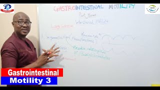 Gastrointestinal Motility – 3 Intestinal Motility [upl. by Adnat739]