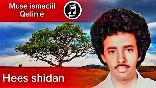 MUUSE ISMACIIL QALINLE HEESTA HEESAHA part1 somalimusic1 museismaciilqalinle foryou somali [upl. by Yodlem]