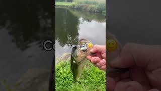 Use this audio for free views😈 trust me shorts fishing [upl. by Trebla]