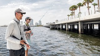 Snapper Werent The Only Fish Caught at The St Pete Pier [upl. by Ashatan]