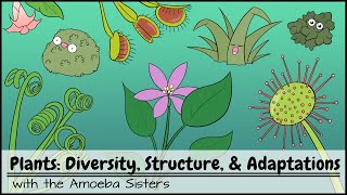 Plants Diversity Structure amp Adaptations [upl. by Alfi]