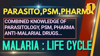 MALARIA ANTIMALARIAL DRUGS Plasmodium Life Cycle Malaria Lifecycle Plasmodium Life CycleHindi [upl. by Annovahs]