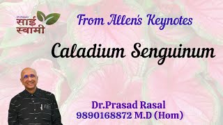 My Experiences with Caladium Seguinum [upl. by Nnorahs]