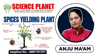 SPICES YIELDING PLANTS II BY ANJU MAM II SCIENCE PLANET II [upl. by Bourgeois]