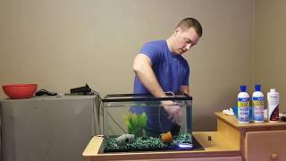 How to set up a fish tank [upl. by Enileuqcaj]