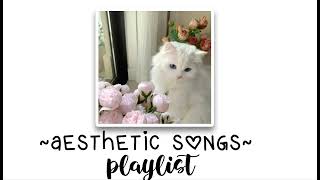 aesthetic songs playlist🤍🩷 [upl. by Anaizit]