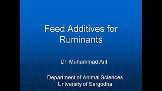 Feed Additives for Ruminants animalscience feedadditives animalnutrition poultrynutrition [upl. by Innes]