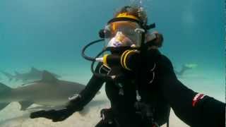 Underwater audio sample footage using full face mask [upl. by Hillel]