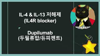 IL4 수용체 저해제 Dupilumab 듀피젠트 작용 기전 정리 [upl. by Haonam]