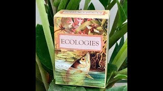 Ecologies the Card GameWith Joseph Nicholas [upl. by Alarice]