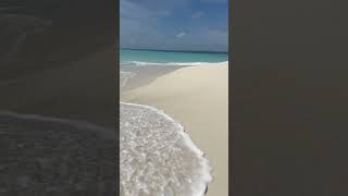 Sand Bank Tour Maldives TritonTours mafushi travelmaldives exploremaldives bestdestinations [upl. by Llerehs]