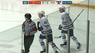 HIGHLIGHTS Toronto 4 Guelph 0 Mens Hockey [upl. by Gnaw]