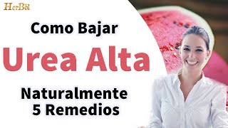 Urea Alta en Sangre Como Bajarla Naturalmente con estos 5 Remedios Caseros│Naturismo Herbol [upl. by Ajaj171]