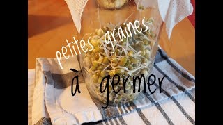 FAIRE GERMER SES GRAINES AVEC UN GERMOIR FAIT MAISON [upl. by Nester989]