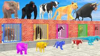 Cow Elephant Lion Gorilla Tiger TRex Choose The Right Mummy ESCAPE ROOM CHALLENGE Animals Cage Game [upl. by Egroej51]