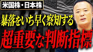 【知らないともったいない】米国株の高値と底値を判断するための指標について徹底解説【VIX指数】 [upl. by Annehsat]