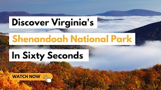 Discover Shenandoah National Park In Sixty Seconds [upl. by Enohsal779]