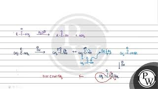 Acetamide is treated with the following reagents separately Which one of these would yield meth [upl. by Yram]