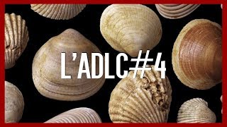 Bivalves et Fougères  lADLC4 [upl. by Thamora63]