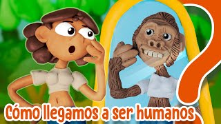 ¿Cómo evolucionó el Homo sapiens [upl. by Naesad]