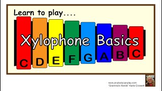 Xylophone Learn Basics of Playing a Xylophone [upl. by Izawa]