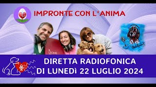 Diretta radiofonica di lunedì 22 Luglio 2024 [upl. by Baxy796]