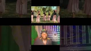 Lemlem Hailemichael Yileyal ethiopia amhara donder oromo habesha shortshorts eritreanmusic [upl. by Nirahs524]