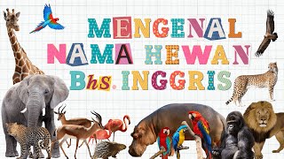 Belajar Bahasa Inggris  Mengenal Nama Hewan Dalam Bahasa Inggris [upl. by Ise]