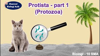 Protista part 1 Protozoa  Biologi kelas 10 SMA [upl. by Surat]