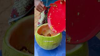 How to cook with watermelon 🍉 funnyvideos god funny mrmacaroni trending movie mrfunny viral [upl. by Arehsat]