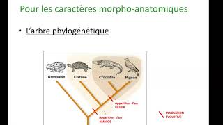 principes de phylogenie [upl. by Wagner662]