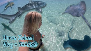 Heron Island Vlog 23 with SHARKS [upl. by Ecinrev]