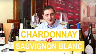 Chardonnay Vs Sauvignon Blanc Comparing the 2 Most Popular Types of White Wine [upl. by Anchie]