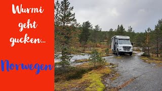 010 Norwegen mit dem Wohnmobil Hymer 580mlt 4x4 Vesteralen Nordlichter [upl. by Irrem]