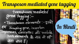 transposon mediated gene tagging in Hindi [upl. by Aelat]