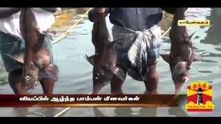 The Rare Fishes Caught In The Net While Fishing At Rameshwaram [upl. by Grubb]