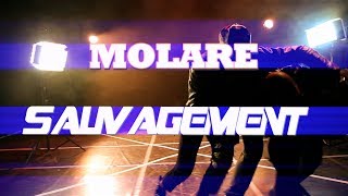 TEASER MOLARE quotSAUVAGEMENTquot Officiel HD [upl. by Frye]