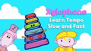 Xylophone  Notekins  Music Videos  BabyFirst TV [upl. by Chaworth]