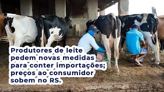 Produtores de leite pedem novas medidas para conter importações preços ao consumidor sobem no RS [upl. by Oisangi155]