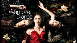 Vampire Diaries 3x14 Hurts  Devotion [upl. by Airamas]