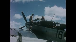 Dutch Fairey Firefly Mk4  Netherlands New Guinea 1958 [upl. by Cuyler]