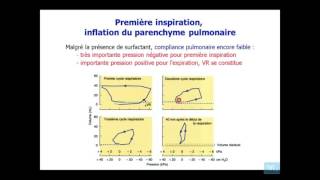 échnages gazeux chez le foetus et a la naissance partie 4 [upl. by Drisko]