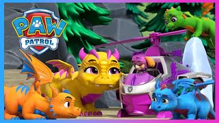 Pups Stop Humdinger’s Kitty Rescue Crew and More  PAW Patrol  Cartoons for Kids [upl. by Frieder960]