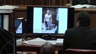 Photo Shows Pistorius Drenched In Blood Day Ten Of Trial [upl. by Siravaj254]